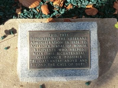 MEDAL OF HONOR STREET TREE MEMORIAL PLAQUE