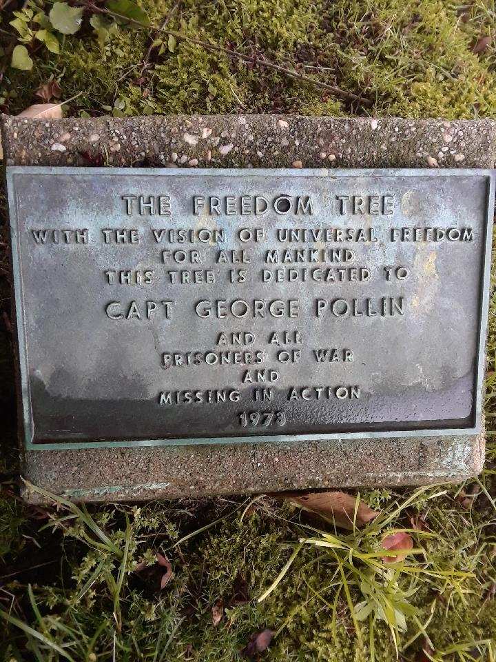 CAPT. GEORGE POLLIN FREEDOM TREE MEMORIAL