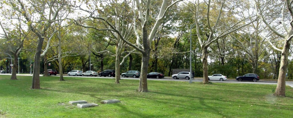 FOUR CHAPLAINS MEMORIAL TREES