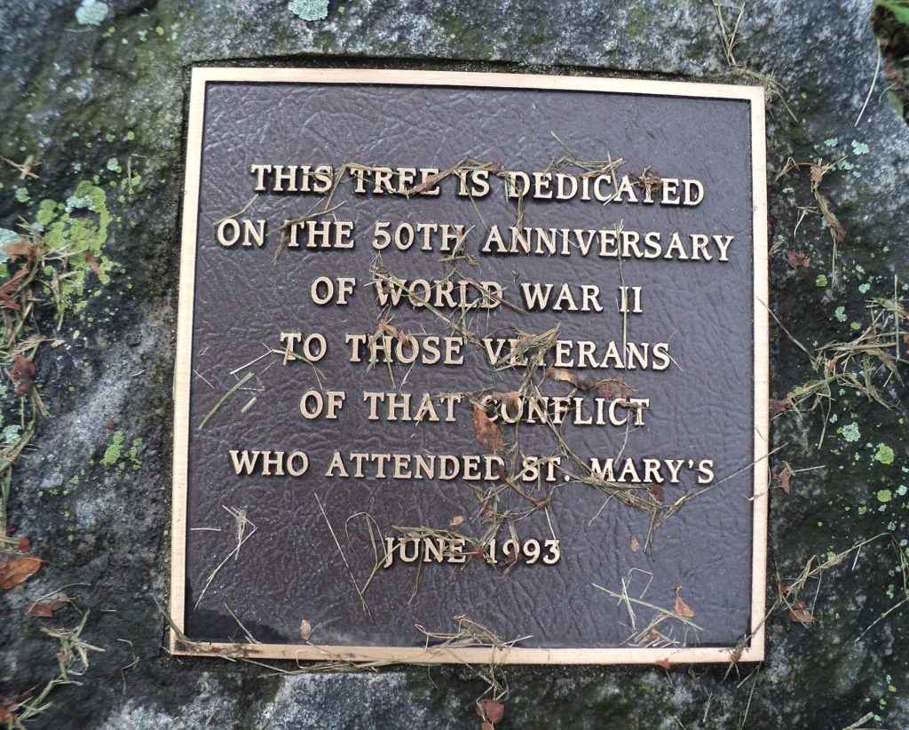 ST. MARY’S 50TH ANNIVERSARY WORLD WAR II MEMORIAL TREE PLAQUE