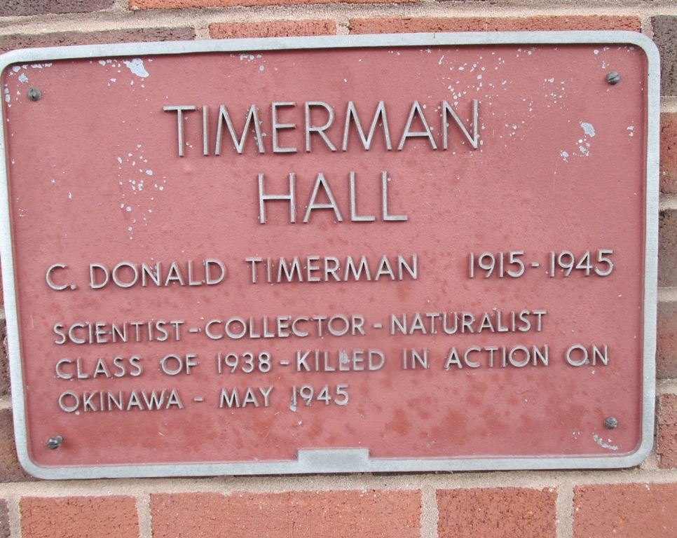TIMERMAN HALL WAR MEMORIAL PLAQUE