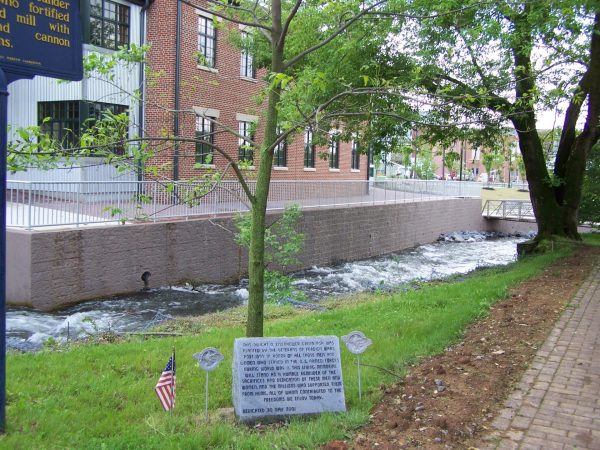 THIS DWIGHT D. EISENHOWER GREEN ASH WAR MEMORIAL TREE