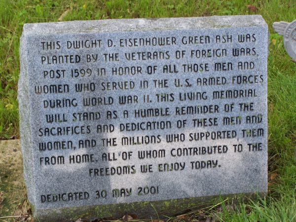 THIS DWIGHT D. EISENHOWER GREEN ASH WAR MEMORIAL TREE STONE