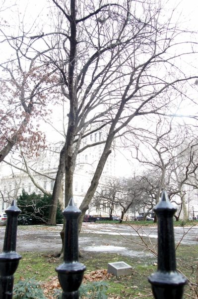 THE FREEDOM TREE NEW YORK STATE MEMORIAL
