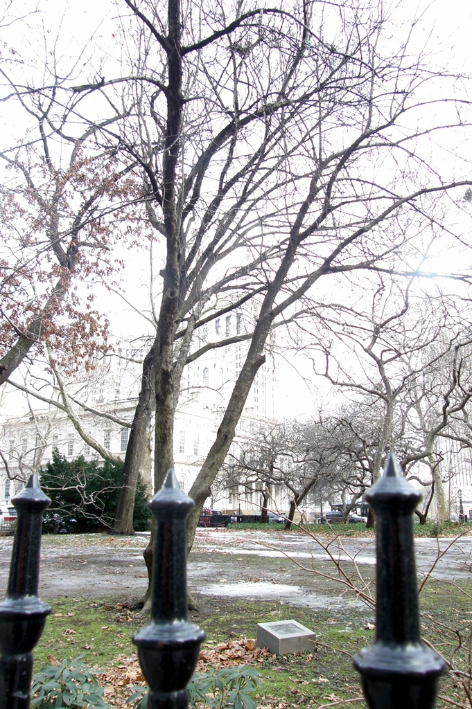 THE FREEDOM TREE NEW YORK STATE MEMORIAL