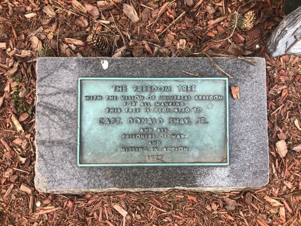 THE FREEDOM TREE CAPT. DONALD SHAY, JR. MEMORIAL  PLAQUE