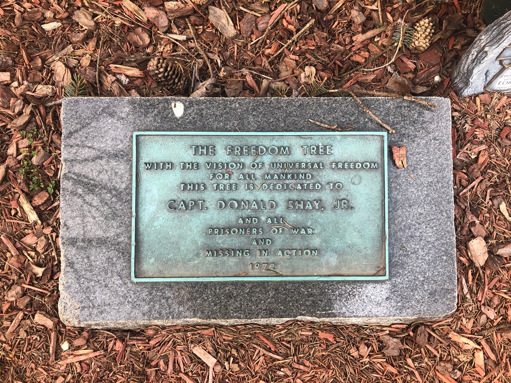 THE FREEDOM TREE CAPT. DONALD SHAY, JR. MEMORIAL  PLAQUE