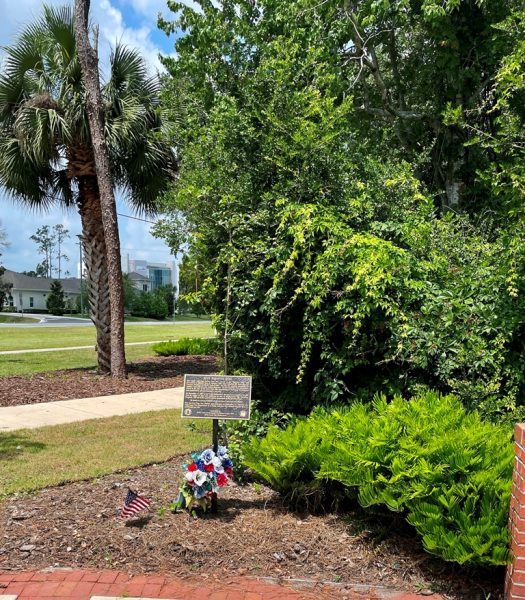 9/11 SURVIVOR TREE MEMORIAL