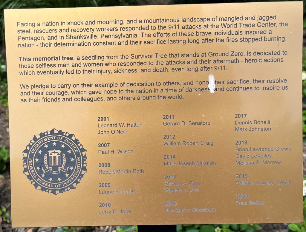 THIS MEMORIAL TREE SEPTEMBER 11, 2001 MEMORIAL PLAQUE