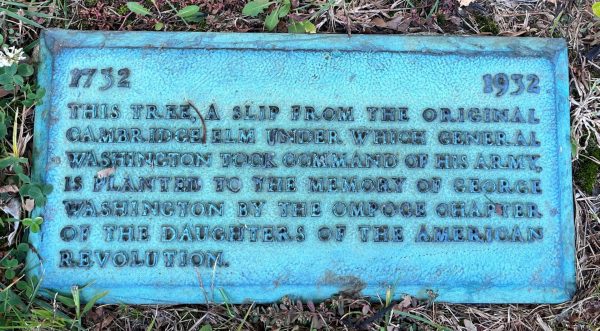 PERTH AMBOY CAMBRIDGE ELM MEMORIAL TREE PLAQUE