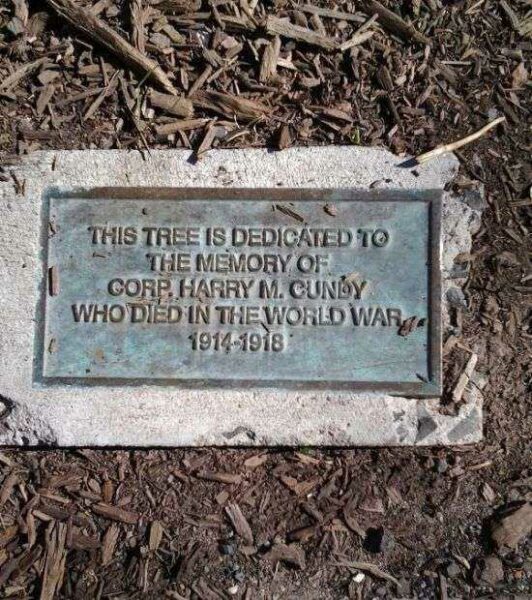 CORP. HARRY M. CUNDY MEMORIAL TREE PLAQUE