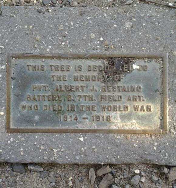 PVT. ALBERT J. RESTAINO MEMORIAL TREE PLAQUE