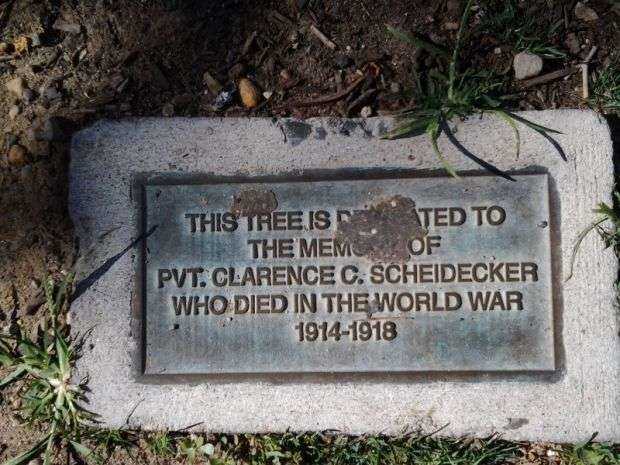 PVT. CLARENCE C. SCHEIDECKER MEMORIAL TREE PLAQUE