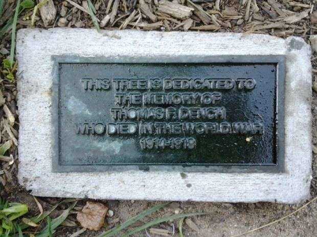 THOMAS F. DENCH MEMORIAL TREE PLAQUE