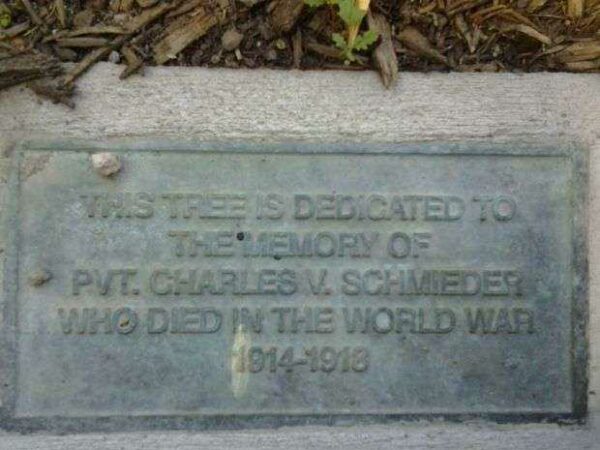 PVT. CHARLES V. SCHMIEDER MEMORIAL TREE PLAQUE