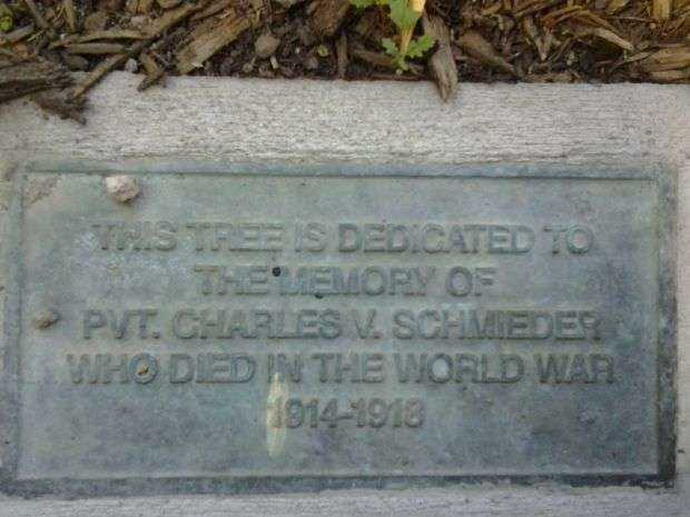 PVT. CHARLES V. SCHMIEDER MEMORIAL TREE PLAQUE