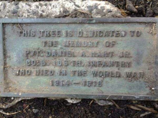 PVT. DANIEL A. HART JR MEMORIAL TREE PLAQUE