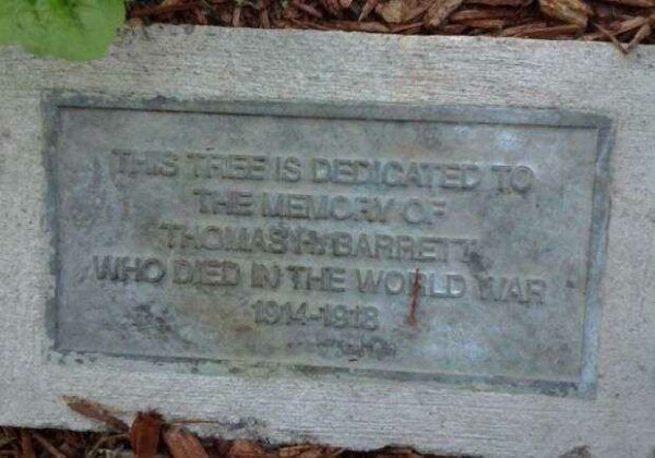 THOMAS H. BARRETT MEMORIAL TREE PLAQUE