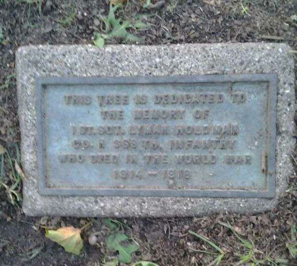 1ST SGT. LYMAN HOLDMAN MEMORIAL TREE PLAQUE