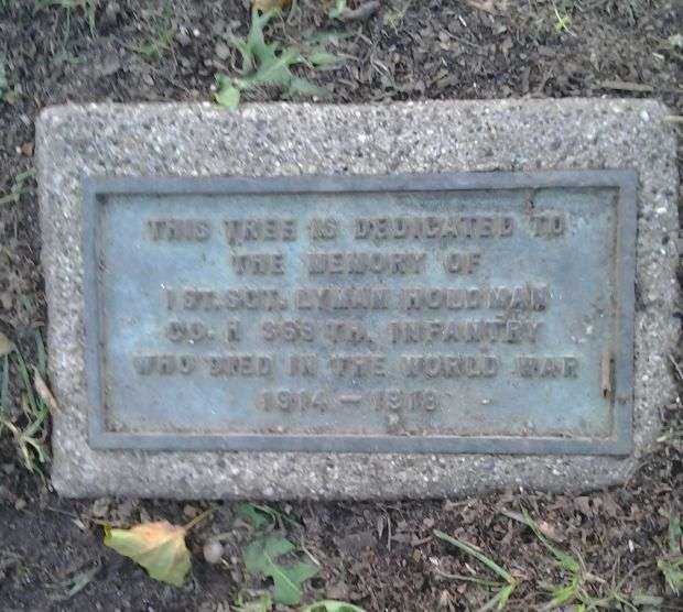 1ST SGT. LYMAN HOLDMAN MEMORIAL TREE PLAQUE