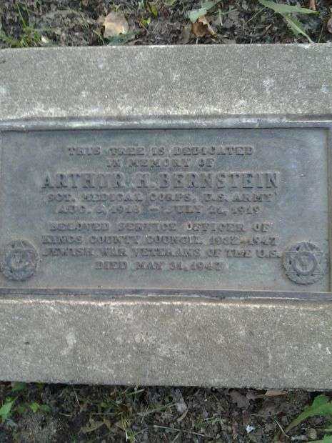 SGT. ARTHUR BERNSTEIN MEMORIAL TREE PLAQUE