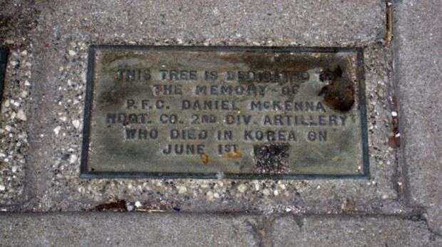 P.F.C. DANIEL MCKENNA MEMORIAL TREE PLAQUE