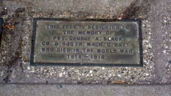 PVT. GEORGE A. BLACK MEMORIAL TREE PLAQUE