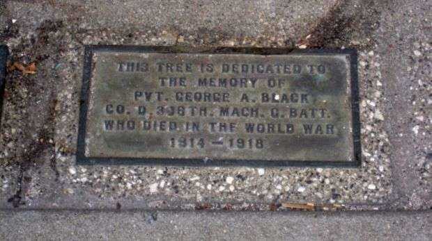 PVT. GEORGE A. BLACK MEMORIAL TREE PLAQUE