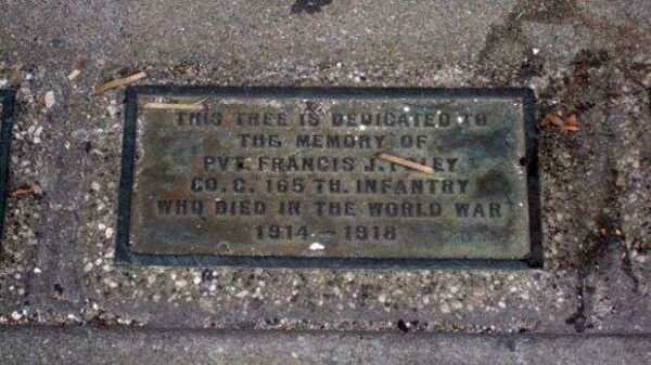PVT. FRANCIS J. FOLEY MEMORIAL TREE PLAQUE