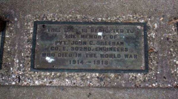 PVT. JOHN C. SHEEHAN MEMORIAL TREE PLAQUE