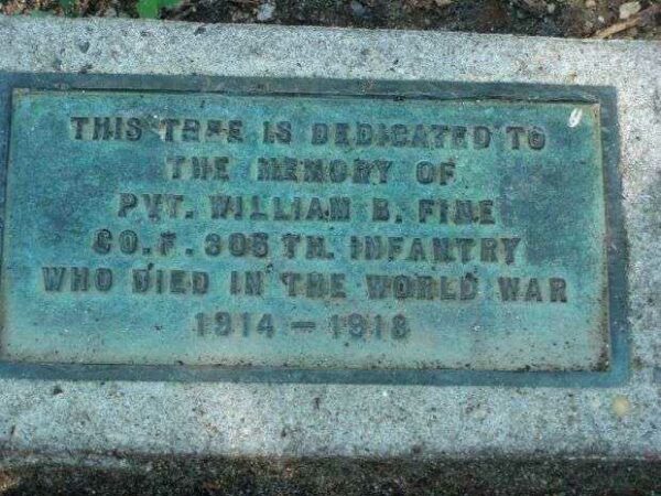 PVT. WILLIAM B. FINE MEMORIAL TREE PLAQUE