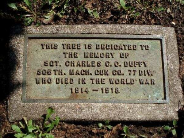 SGT. CHARLES C.C.DUFFY MEMORIAL TREE PLAQUEW