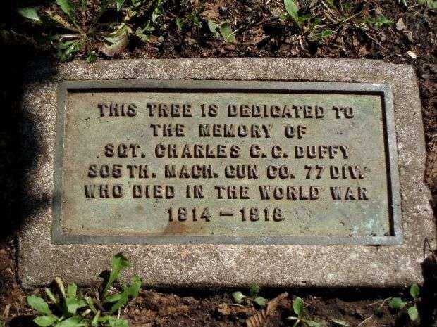 SGT. CHARLES C.C.DUFFY MEMORIAL TREE PLAQUEW