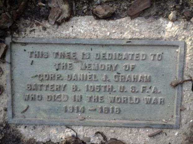 CORP. DANIEL J. GRAHAM MEMORIAL TREE PLAQUE