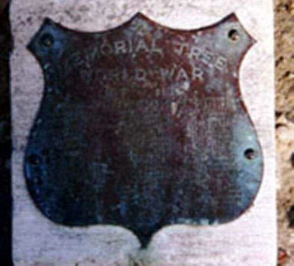 307TH INFANTRY COMPANY K MEMORIAL TREE PLAQUE