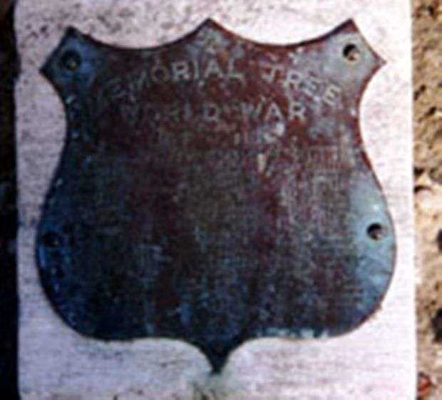 307TH INFANTRY COMPANY K MEMORIAL TREE PLAQUE