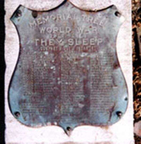 307TH INFANTRY COMPANY B MEMORIAL TREE PLAQUE