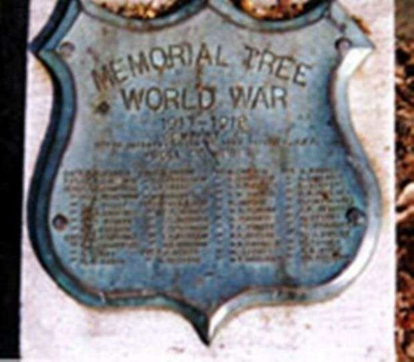 307TH INFANTRY COMPANY A MEMORIAL TREE PLAQUE