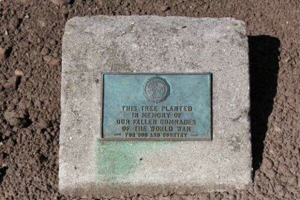 MANITOWOC AMERICAN LEGION WORLD WAR I MEMORIAL TREE PLAQUE