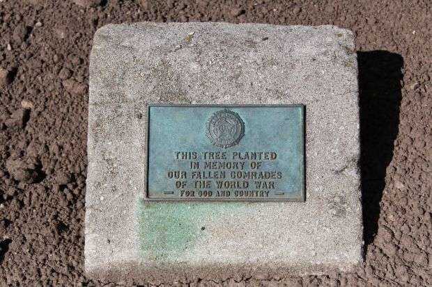 MANITOWOC AMERICAN LEGION WORLD WAR I MEMORIAL TREE PLAQUE