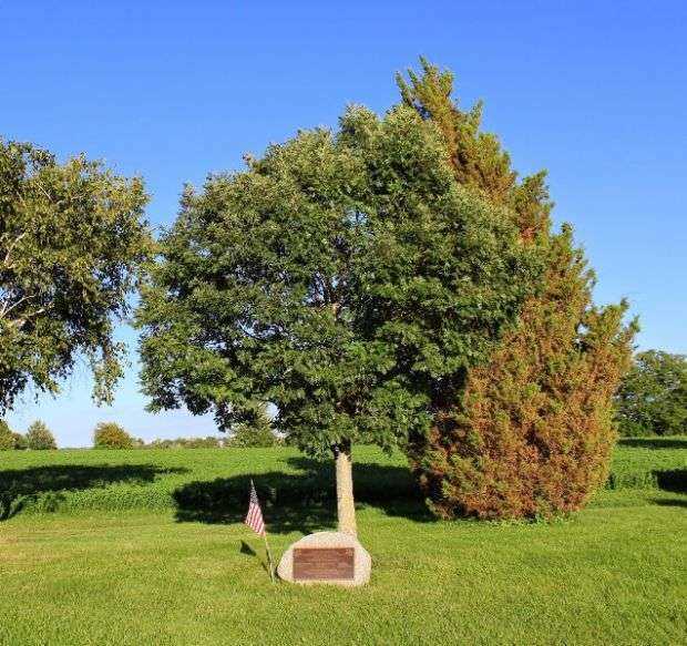 UNION GROVE CEMETERY VETERANS MEMORIAL TREE