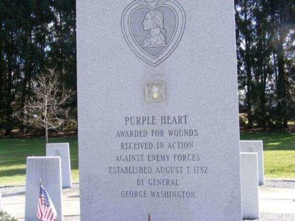 MERCER COUNTY VIETNAM VETERANS MEMORIAL LARGE STONE C