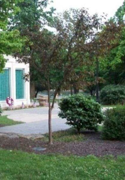 LT. COL. RICHARD KEIRN FREEOM TREE MEMORIAL