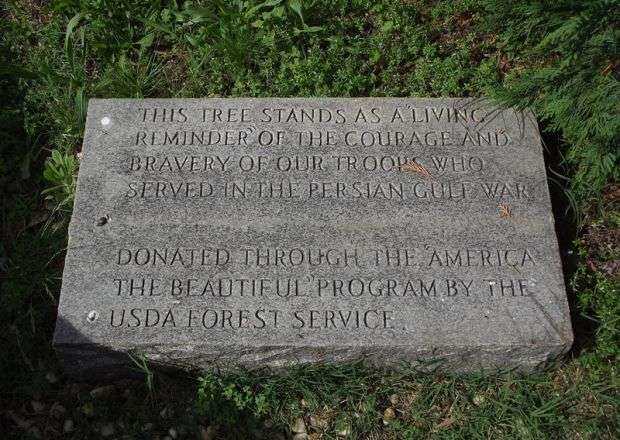PERSIAN GULF WAR VETERANS MEMORIAL TREE TABLET