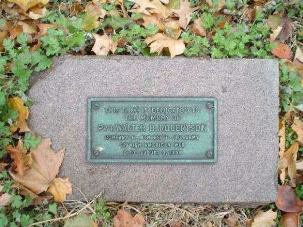 PVT. WALTER R. ROBERTSON MEMORIAL TREE PLAQUE