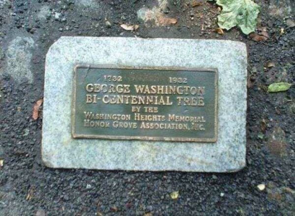GEORGE WASHINGTON BICENTENNIAL TREE MEMORIAL PLAQUE