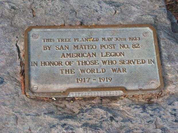 AMERICAN LEGION POST 82 MEMORIAL TREE PLAQUE