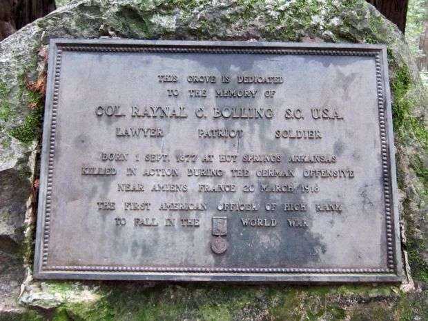 COL. RAYNAL C. BOLLING WAR MEMORIAL TREE GROVE PLAQUE