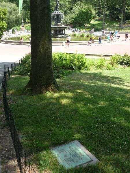 NAVY WALK WAR MEMORIAL TREE