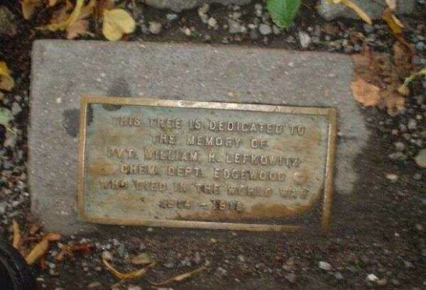 PVT. WILLIAM H. LEFKOWITZ MEMORIAL TREE PLAQUE